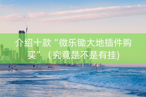 介绍十款“微乐锄大地插件购买”（究竟是不是有挂)
