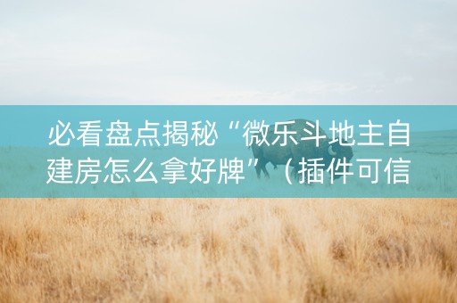 必看盘点揭秘“微乐斗地主自建房怎么拿好牌”（插件可信吗)