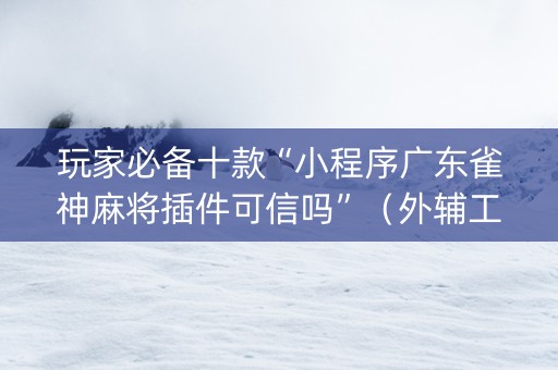 玩家必备十款“小程序广东雀神麻将插件可信吗”（外辅工具)