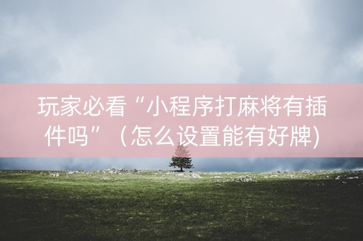 玩家必看“小程序打麻将有插件吗”（怎么设置能有好牌)
