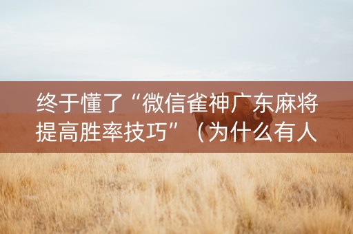 终于懂了“微信雀神广东麻将提高胜率技巧”（为什么有人一直赢)