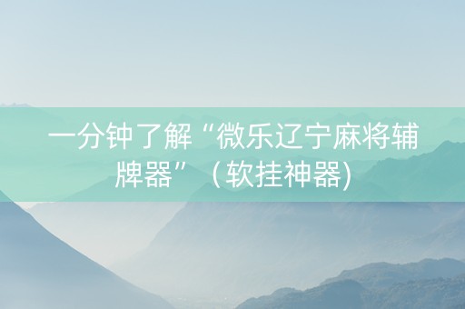 一分钟了解“微乐辽宁麻将辅牌器”（软挂神器)