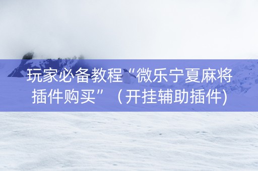 玩家必备教程“微乐宁夏麻将插件购买”（开挂辅助插件)