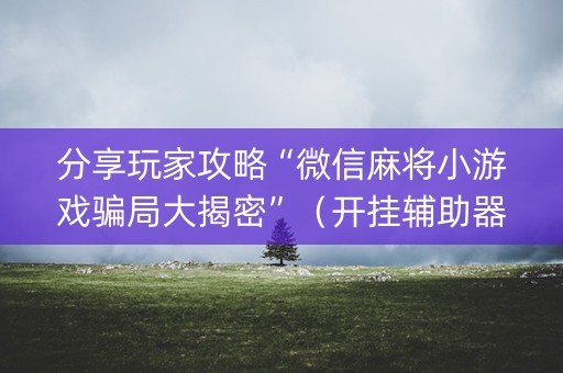 分享玩家攻略“微信麻将小游戏骗局大揭密”（开挂辅助器插件)