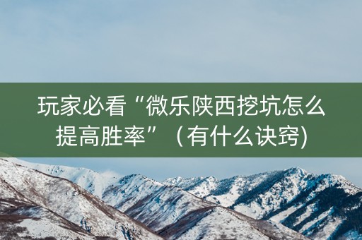 玩家必看“微乐陕西挖坑怎么提高胜率”（有什么诀窍)