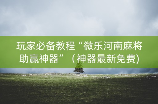 玩家必备教程“微乐河南麻将助赢神器”（神器最新免费)