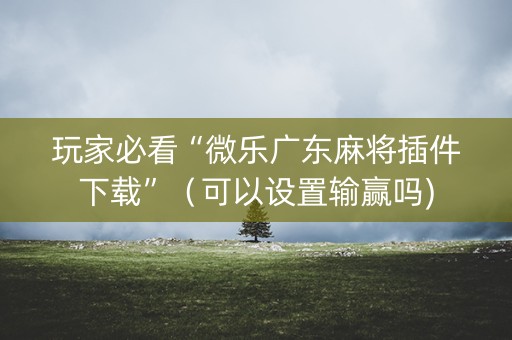 玩家必看“微乐广东麻将插件下载”（可以设置输赢吗)