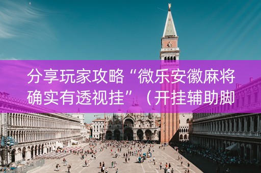 分享玩家攻略“微乐安徽麻将确实有透视挂”（开挂辅助脚本)