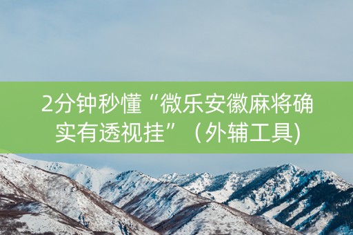 2分钟秒懂“微乐安徽麻将确实有透视挂”（外辅工具)