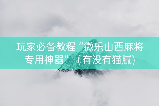 玩家必备教程“微乐山西麻将专用神器”（有没有猫腻)