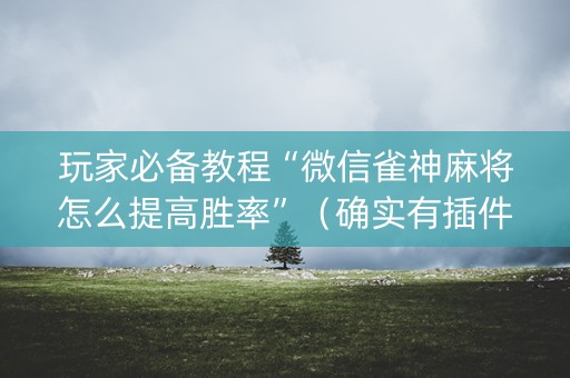 玩家必备教程“微信雀神麻将怎么提高胜率”（确实有插件吗)