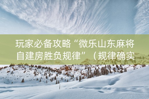 玩家必备攻略“微乐山东麻将自建房胜负规律”（规律确实有挂)