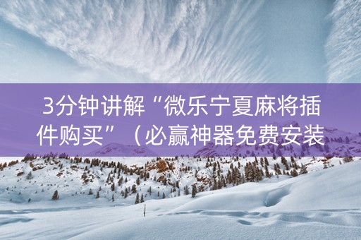 3分钟讲解“微乐宁夏麻将插件购买”（必赢神器免费安装)