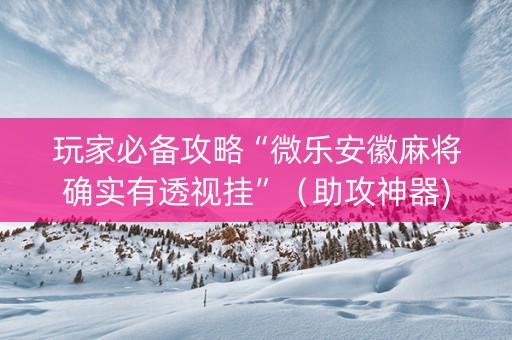 玩家必备攻略“微乐安徽麻将确实有透视挂”（助攻神器)