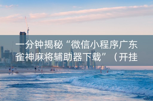 一分钟揭秘“微信小程序广东雀神麻将辅助器下载”（开挂辅助脚本)