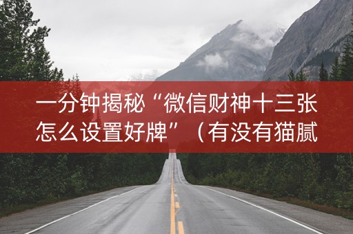 一分钟揭秘“微信财神十三张怎么设置好牌”（有没有猫腻)