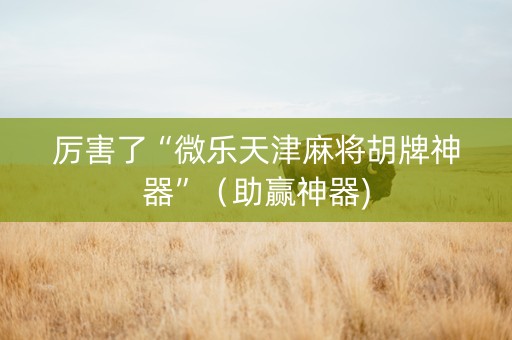 厉害了“微乐天津麻将胡牌神器”（助赢神器)