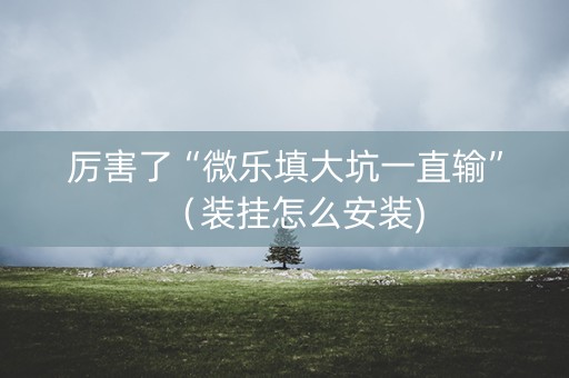 厉害了“微乐填大坑一直输”（装挂怎么安装)