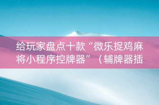 给玩家盘点十款“微乐捉鸡麻将小程序控牌器”（辅牌器插件购买)