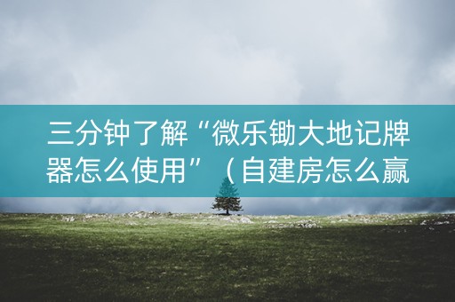 三分钟了解“微乐锄大地记牌器怎么使用”（自建房怎么赢)