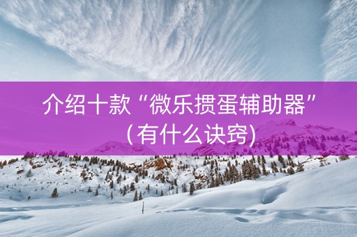 介绍十款“微乐掼蛋辅助器”（有什么诀窍)