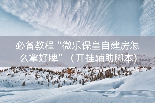 必备教程“微乐保皇自建房怎么拿好牌”（开挂辅助脚本)
