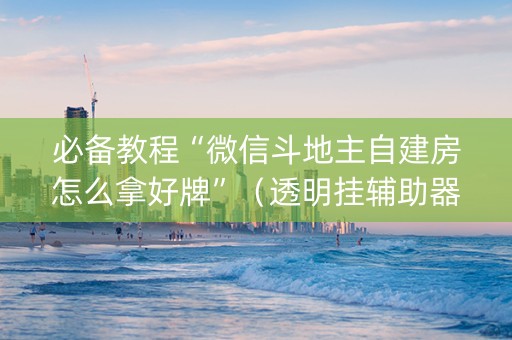 必备教程“微信斗地主自建房怎么拿好牌”（透明挂辅助器)