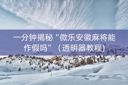 一分钟揭秘“微乐安徽麻将能作假吗”（透明器教程)