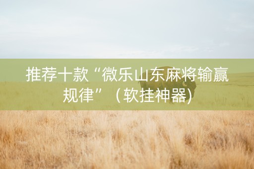 推荐十款“微乐山东麻将输赢规律”（软挂神器)