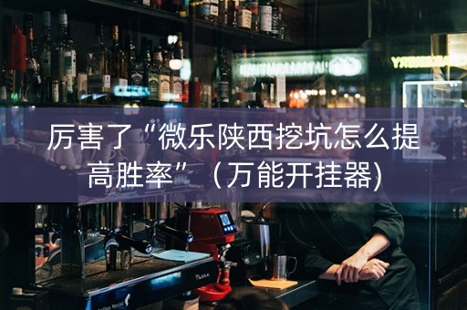 厉害了“微乐陕西挖坑怎么提高胜率”（万能开挂器)