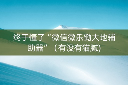 终于懂了“微信微乐锄大地辅助器”（有没有猫腻)