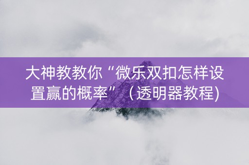 大神教教你“微乐双扣怎样设置赢的概率”（透明器教程)