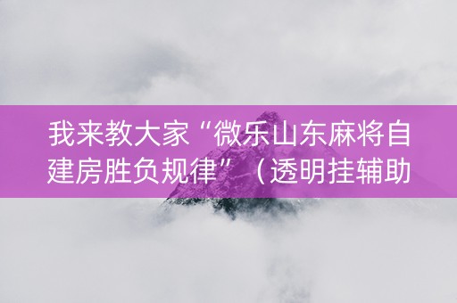 我来教大家“微乐山东麻将自建房胜负规律”（透明挂辅助器)