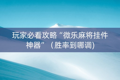 玩家必看攻略“微乐麻将挂件神器”（胜率到哪调)