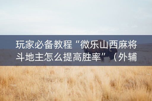 玩家必备教程“微乐山西麻将斗地主怎么提高胜率”（外辅工具)