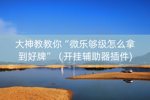大神教教你“微乐够级怎么拿到好牌”（开挂辅助器插件)