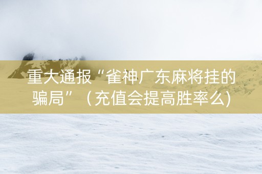 重大通报“雀神广东麻将挂的骗局”（充值会提高胜率么)