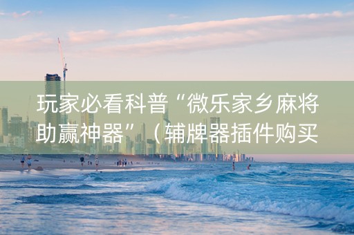 玩家必看科普“微乐家乡麻将助赢神器”（辅牌器插件购买)