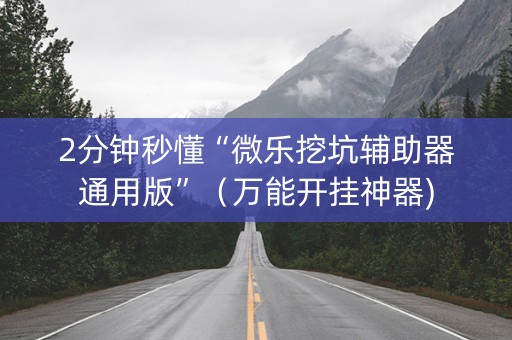 2分钟秒懂“微乐挖坑辅助器通用版”（万能开挂神器)