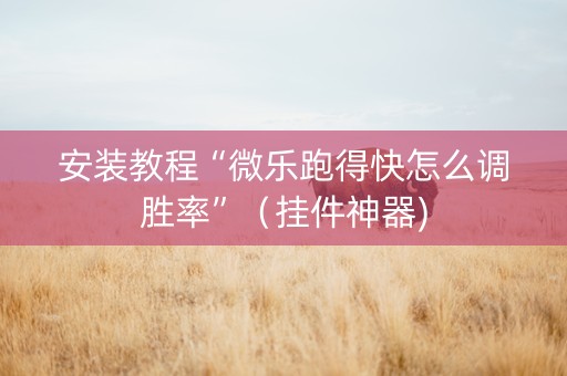 安装教程“微乐跑得快怎么调胜率”（挂件神器)