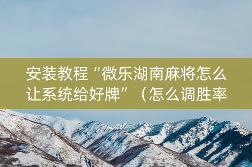 安装教程“微乐湖南麻将怎么让系统给好牌”（怎么调胜率)