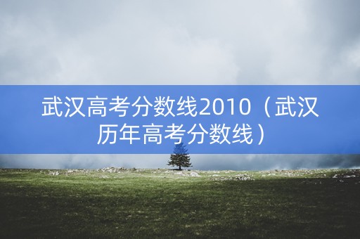 武汉高考分数线2010（武汉历年高考分数线）