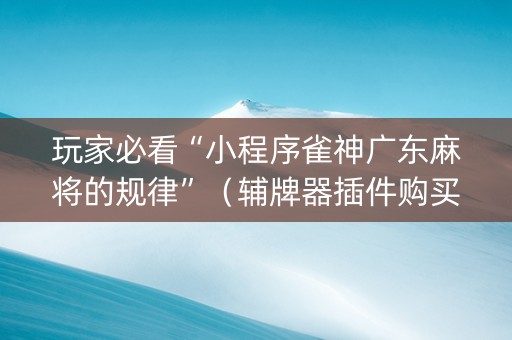 玩家必看“小程序雀神广东麻将的规律”（辅牌器插件购买)