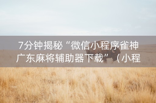 7分钟揭秘“微信小程序雀神广东麻将辅助器下载”（小程序必赢神器)