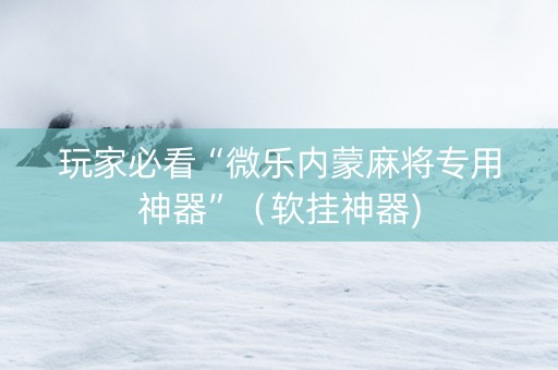 玩家必看“微乐内蒙麻将专用神器”（软挂神器)