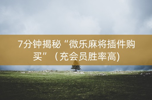 7分钟揭秘“微乐麻将插件购买”（充会员胜率高)