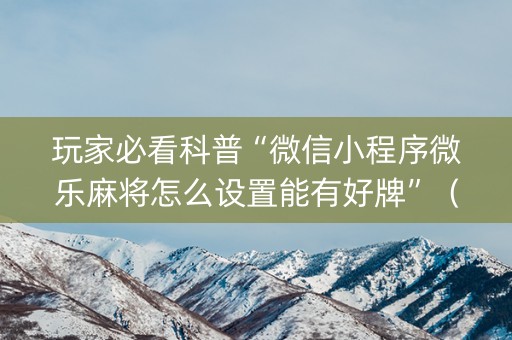 玩家必看科普“微信小程序微乐麻将怎么设置能有好牌”（必赢神器)