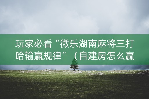 玩家必看“微乐湖南麻将三打哈输赢规律”（自建房怎么赢)