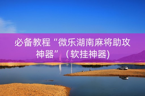 必备教程“微乐湖南麻将助攻神器”（软挂神器)