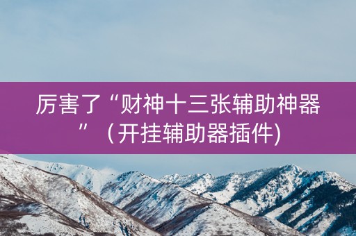 厉害了“财神十三张辅助神器”（开挂辅助器插件)